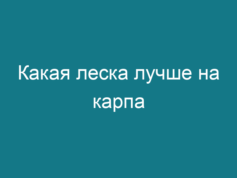 Какая леска лучше на карпа