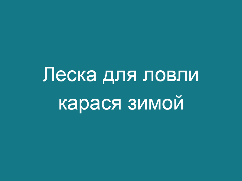 Леска для ловли карася зимой