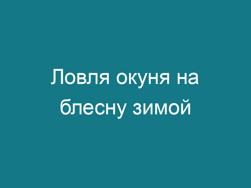 Ловля окуня на блесну зимой